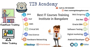 Best IT Courses Training Institute in Bangalore